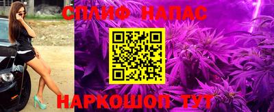 стаф Кулебаки