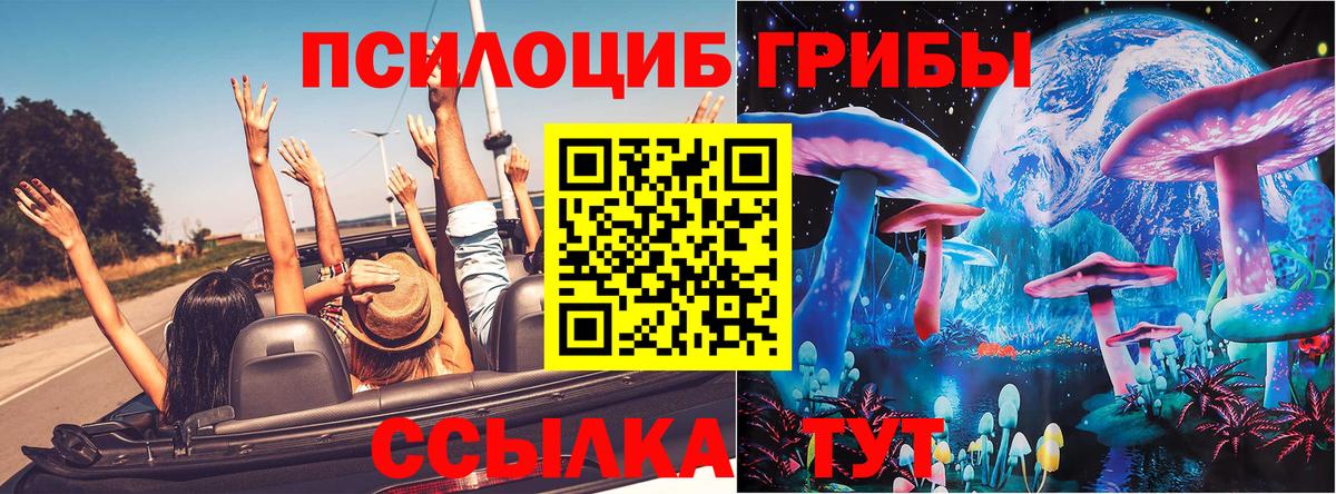 Псилоцибиновые грибы мухоморы Тверь